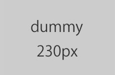 dummy 240px